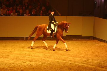 Bild 88 - Hansepferd Gala am 18.4.10